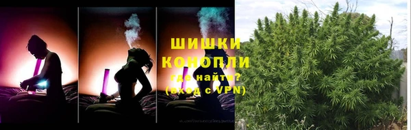 крисы Магас