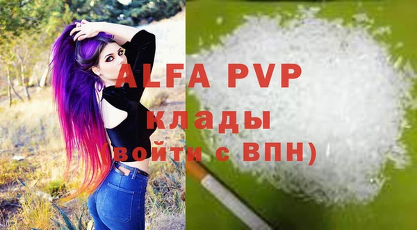 крисы Магас