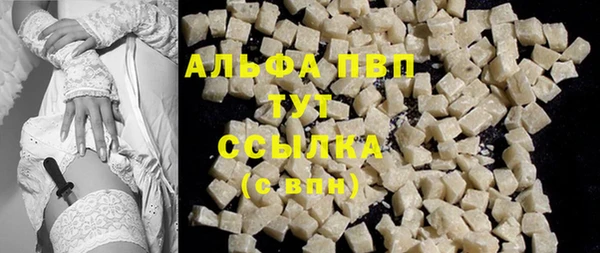 крисы Магас